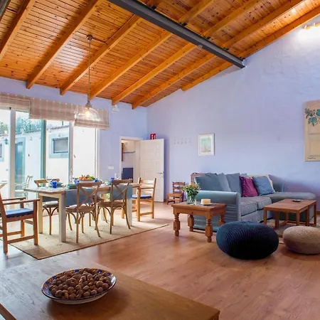 La Lavanda Vega de San Mateo