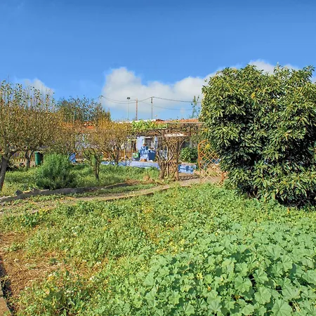 Holiday home La Lavanda *