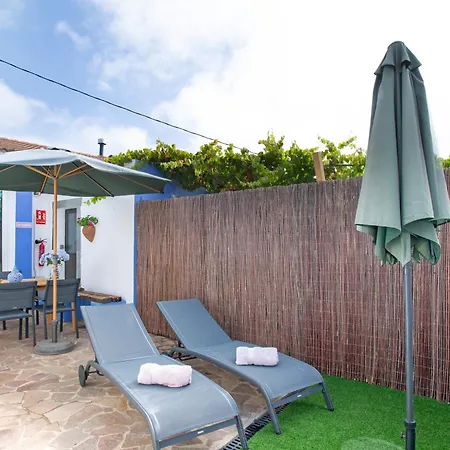 La Lavanda Vega de San Mateo